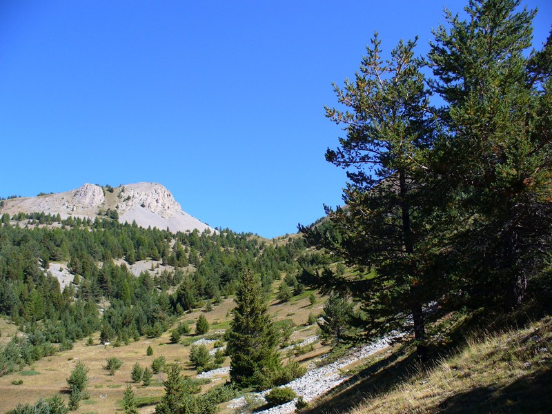 #3 Sentier Montée : Col de Bramousse en vue Sentier Montée : Col de Bramousse en vue