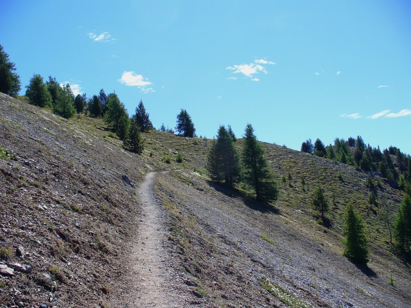 Sentier Montée : Ce sera roulant jusqu'à la Crête