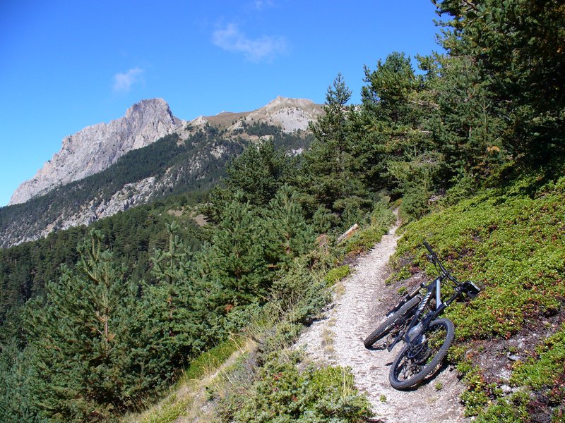 Sentier Montée : Vers Chambeyran