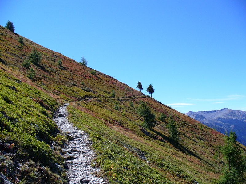 #7 Sentier Montée : Les Myrtilliers commence à tourner Sentier Montée : Les Myrtilliers commence à tourner