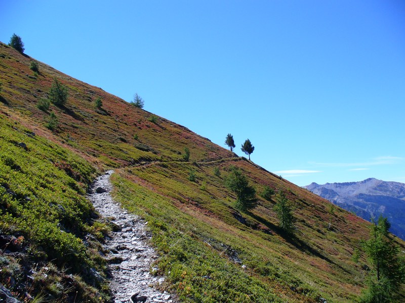 Sentier Montée : Les Myrtilliers commence à tourner