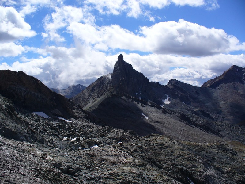 Sentier Montée : Omniprésente Tête Noire