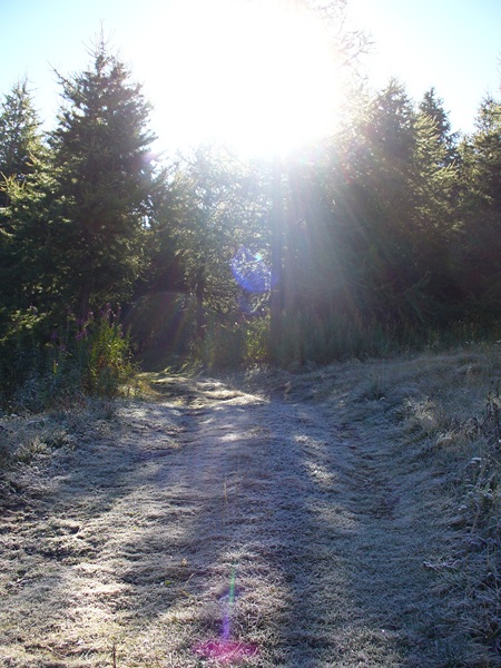 #1 Piste Montée : A la Fraîche, 2°C ce matin Piste Montée : A la Fraîche, 2°C ce matin