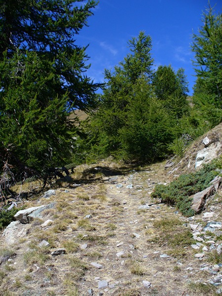 Piste Montée : 80% Poussage