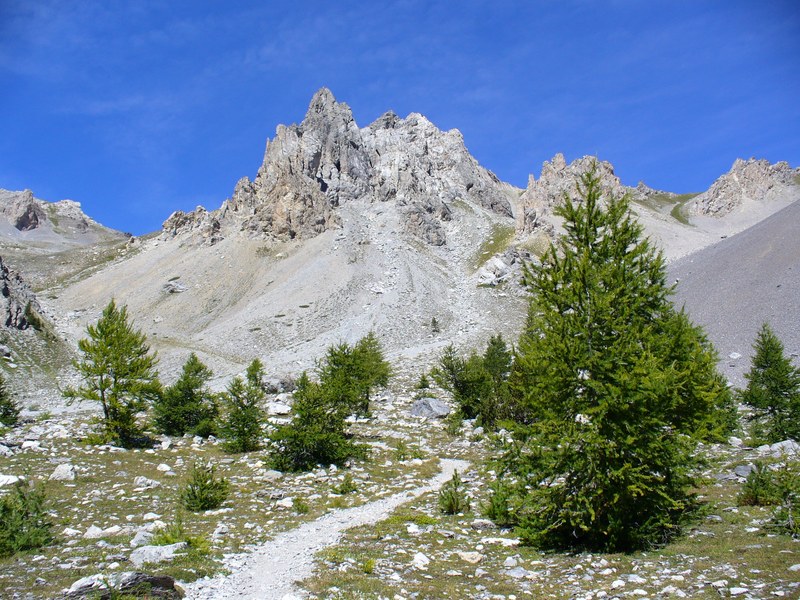 Sentier Descente : ... en dessous ...