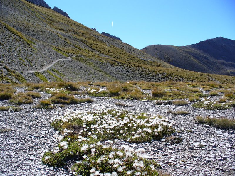 Col de Néal : Vers le Lauzon ...