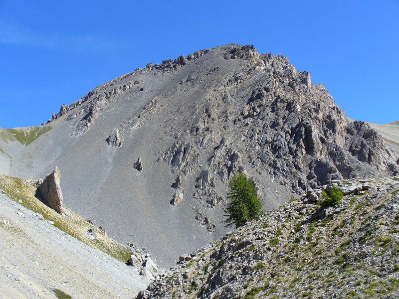 Sentier Descente : ... descente