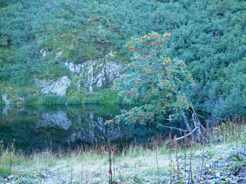Lac es Cornaches : lac des Cornaches