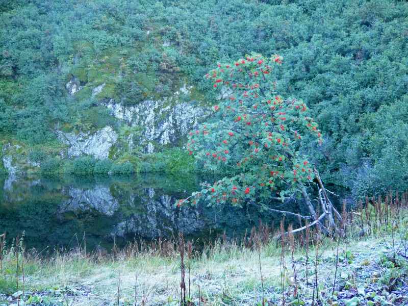#1 Lac es Cornaches : lac des Cornaches Lac es Cornaches : lac des Cornaches