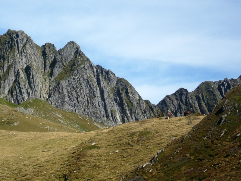 col des evettes : Pointe de Comborsier