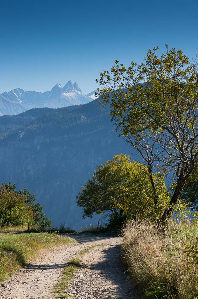 Vers le Fragnin : la deuxième partie de la descente après Chaucy est quand même un gros en dessous