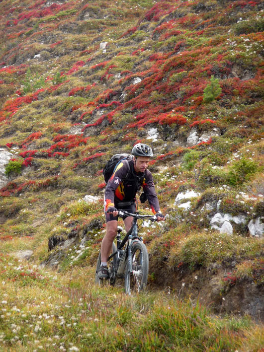 Dent du Villard : Et toujours les myrtilliers