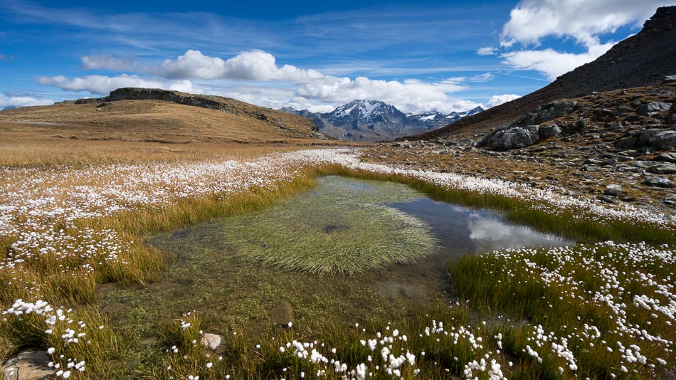 Col de la Bache : idéal pour le casse croute