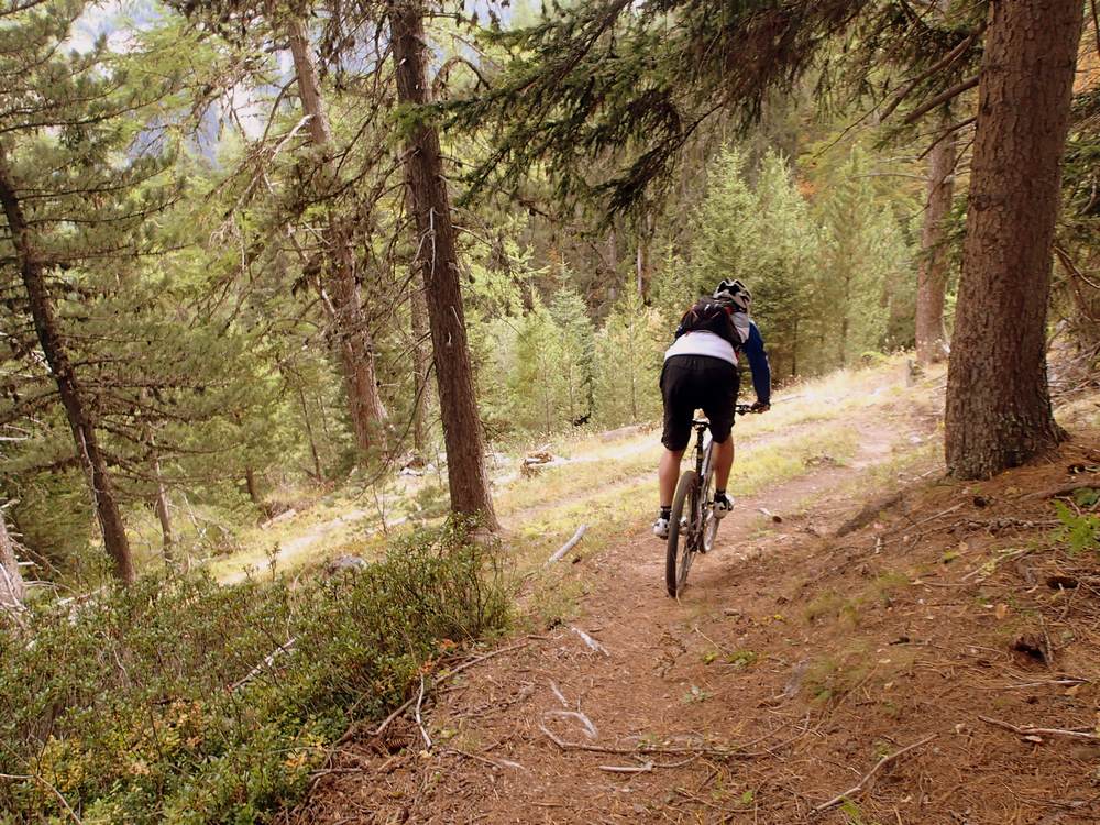 combe du Jeay : Sur les spines d'arolles