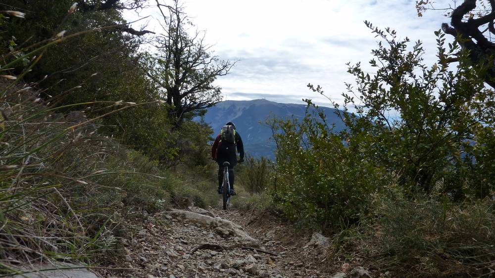 Un cycliste ! : devant le Ventoux