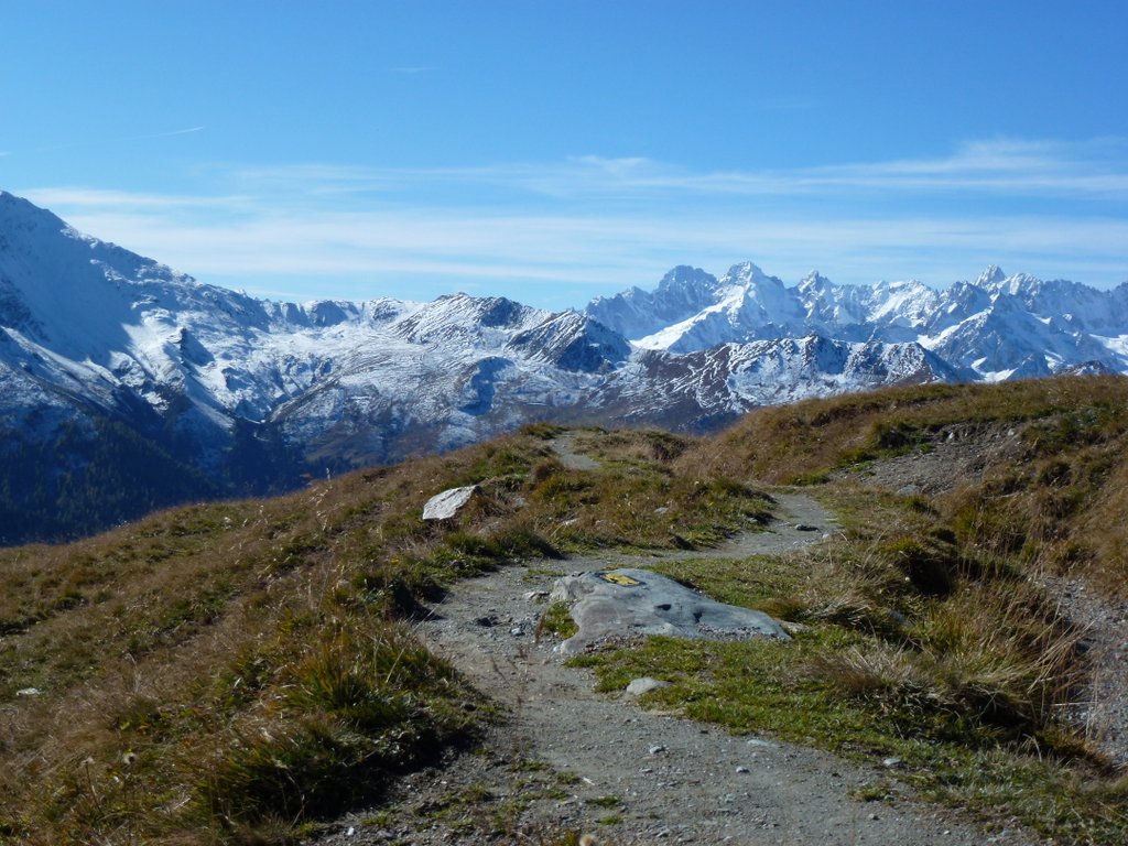 Bisse du Levron : Vue sur la massif du Mt Blanc