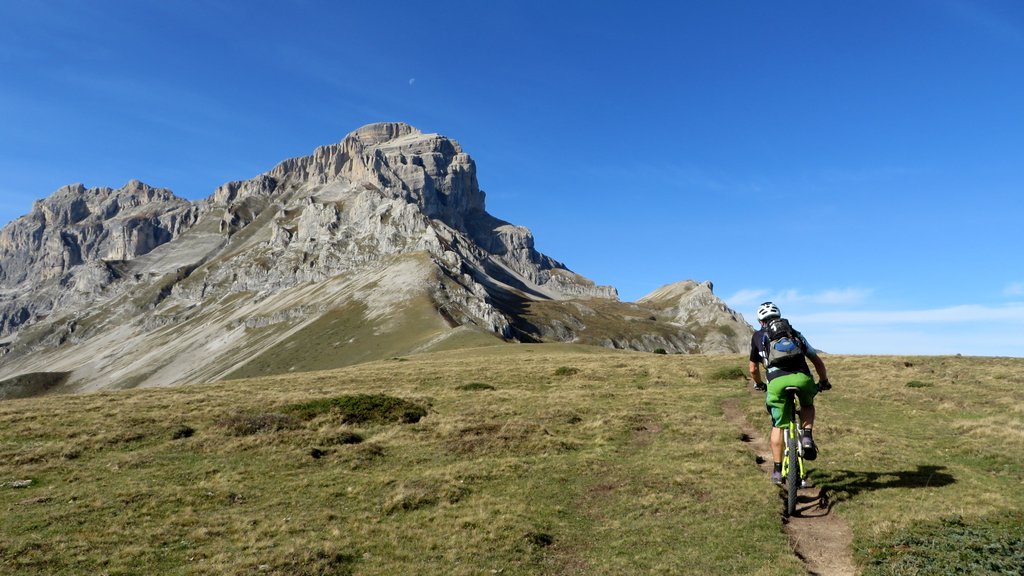 Col des Faïsses : On monte là haut