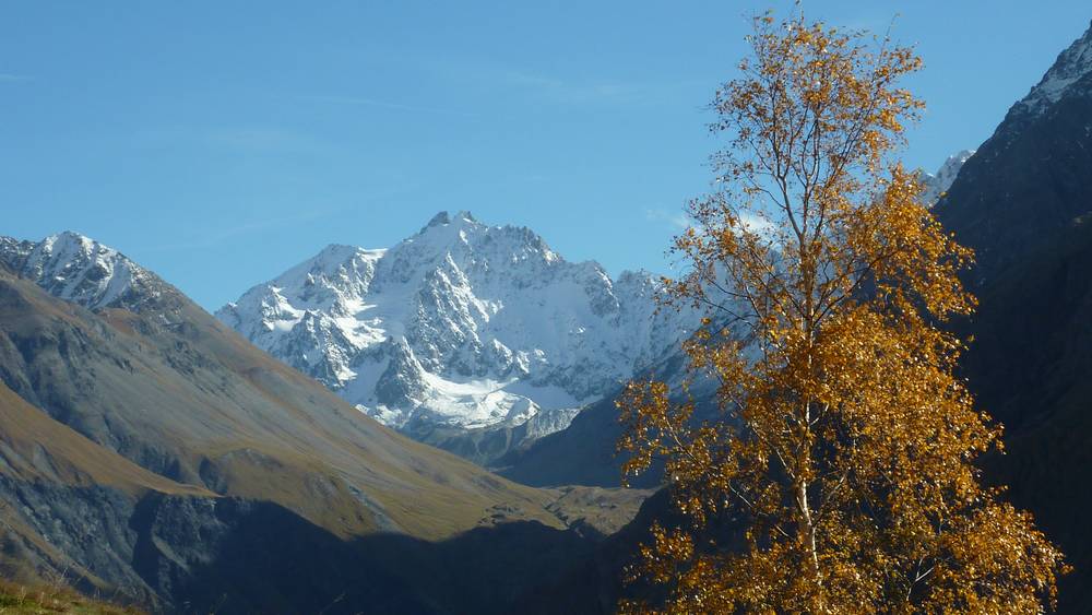 #5 Contrastes : collection automne-hiver Contrastes : collection automne-hiver