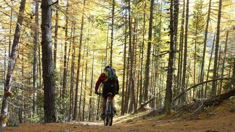 #14 Les Savoyes : final sur Plampinet sur un billard Les Savoyes : final sur Plampinet sur un billard