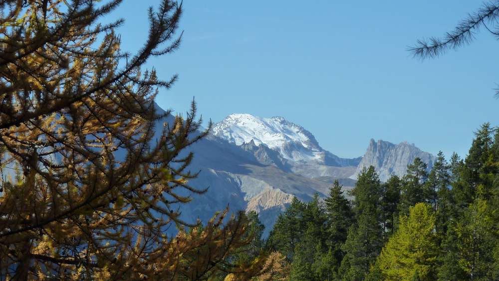 #24 Thabor : faudra revenir l Thabor : faudra revenir l'année prochaine