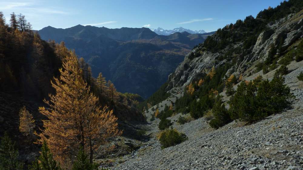 #22 Ravin de la Lauze : un beau sentier pierreux en restant sur ce versant sud Ravin de la Lauze : un beau sentier pierreux en restant sur ce versant sud