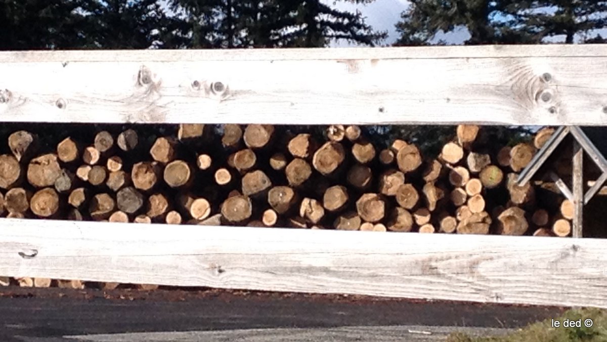 #4 Tas de bois : un feu de paille pour l Tas de bois : un feu de paille pour l'hiver!