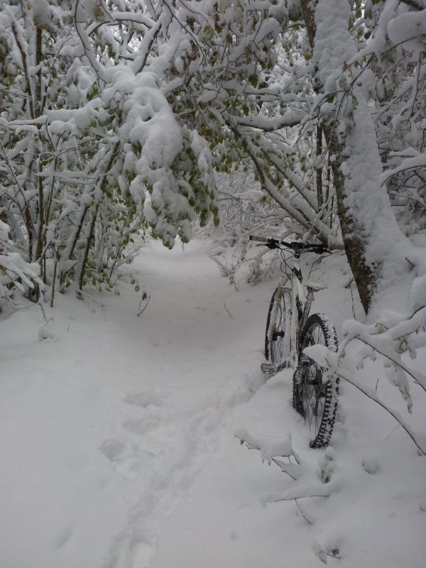 Début de la descente : La neige abaisse les branches. Pan dans la gueule.