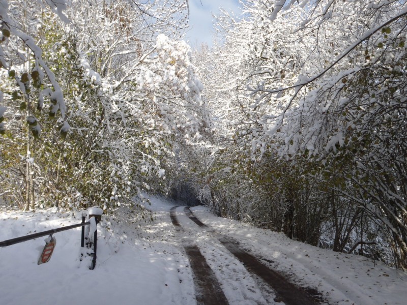 Rontalon. : Chemin facile même avec de la neige.