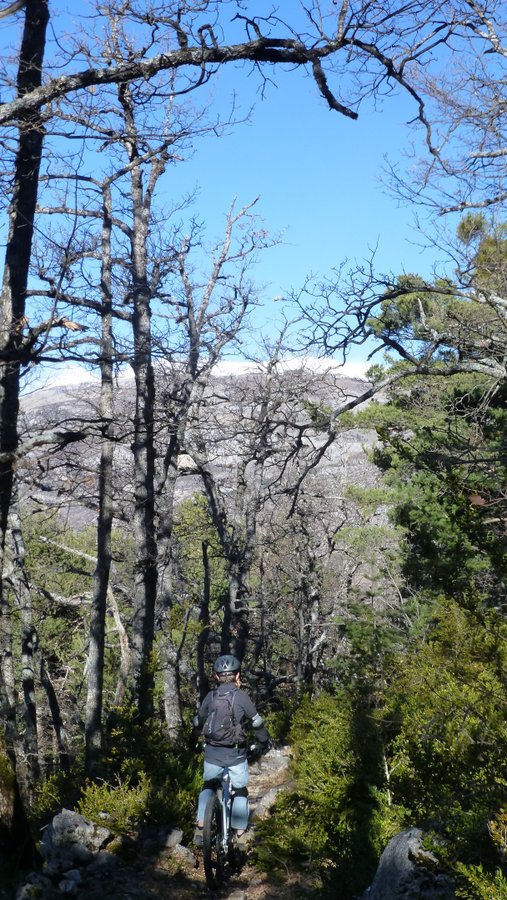 #11 GR 49 : Descente avec la neige sur les sommets juste en face. GR 49 : Descente avec la neige sur les sommets juste en face.