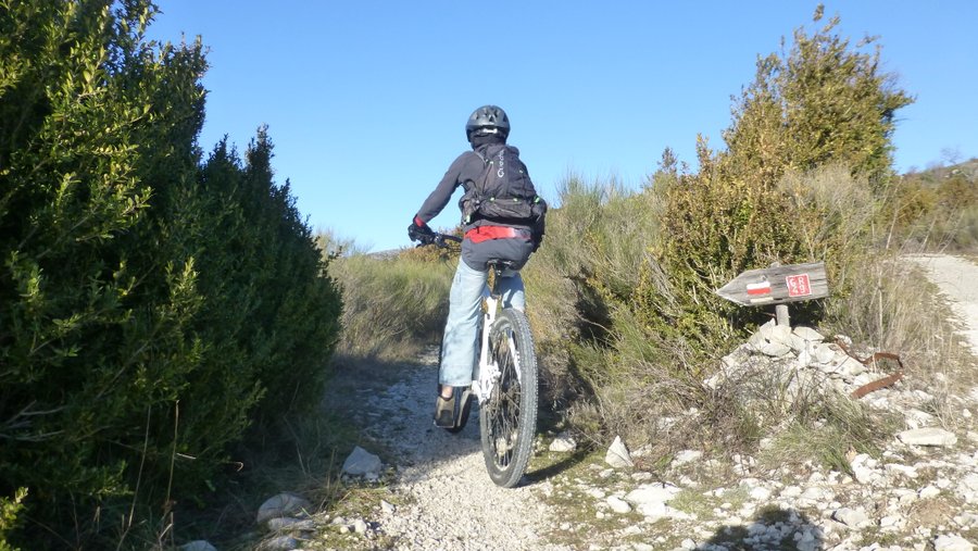 #3 GR 49 : C GR 49 : C'est parti