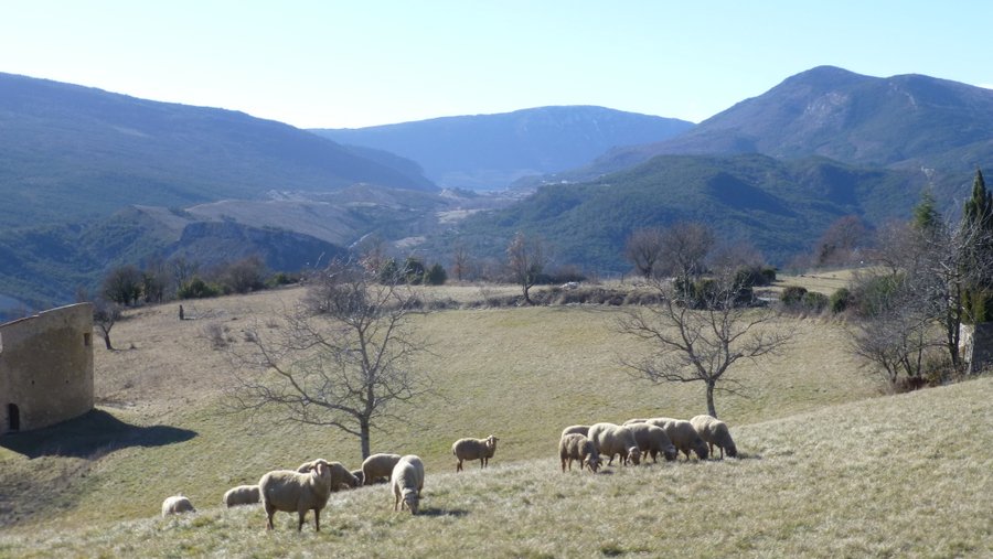 #16 Employés communaux : Entretien des pelouses du village de Rougon Employés communaux : Entretien des pelouses du village de Rougon