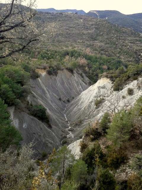 #18 photo 13 : gigantissime... photo 13 : gigantissime...