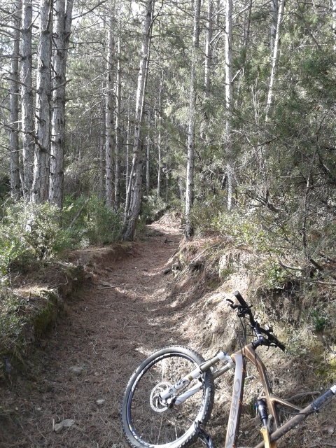#6 photo 8 : Sentier sympa sous les pins. photo 8 : Sentier sympa sous les pins.
