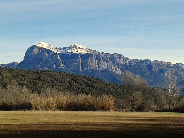 #3 Photo 4 : qu Photo 4 : qu'est ce que je vous disait.