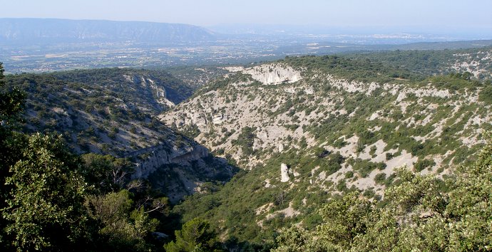 Le vallon de la Sénancole : et le Petit Luberon en arrière plan