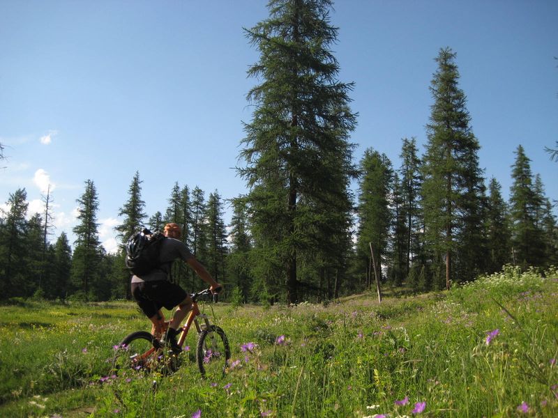 #1 Col de La Pousterle : Tout vert et tout fleuri, c Col de La Pousterle : Tout vert et tout fleuri, c'est beau !