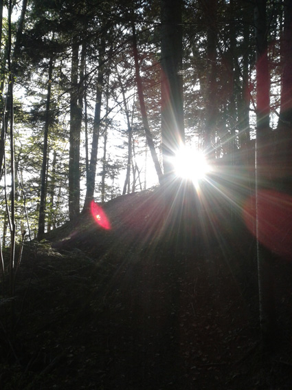 #4 Soleil : Contre jour Soleil : Contre jour