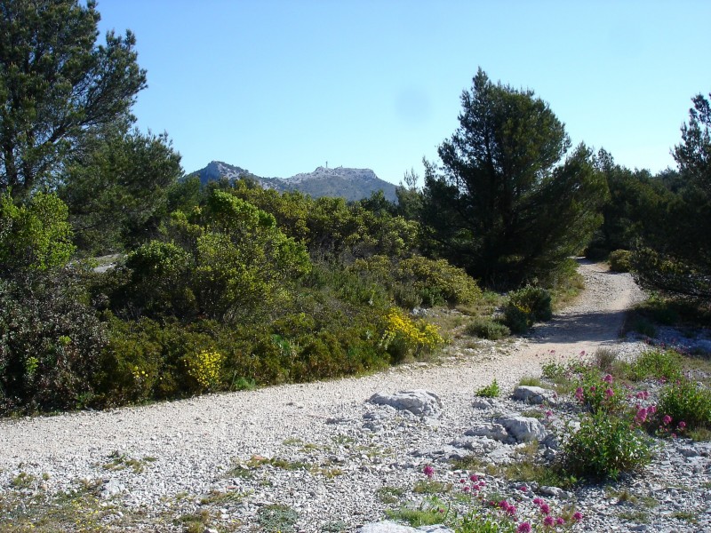 #2 Objectif en vue: mont Caume Est Objectif en vue: mont Caume Est