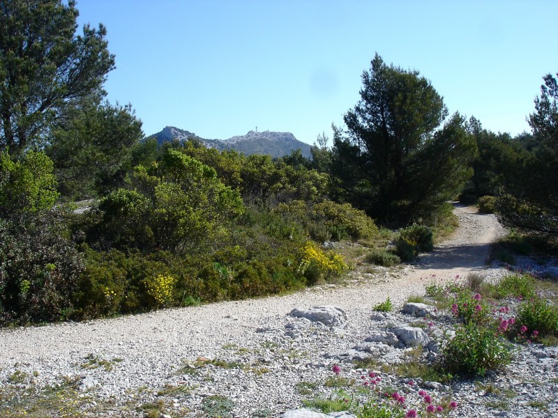 Objectif en vue: mont Caume Est