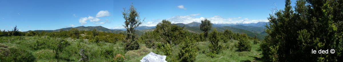 #8 Panoramique : salle à manger Panoramique : salle à manger