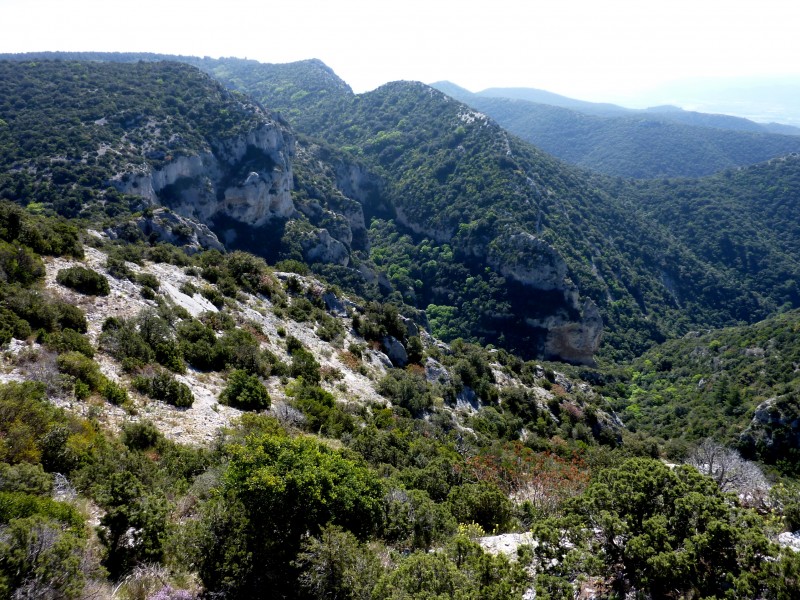 Vallon de l'Arc : vu de la Roque des Bancs