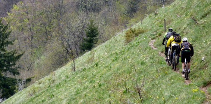 Revoilà du VTT de saison : La descente va bien nous enchanter avec ses challenges épinglus et racines mouillées