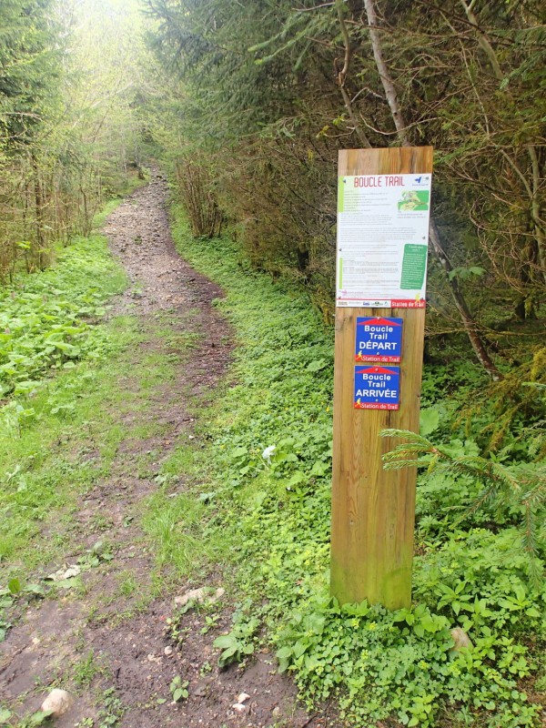 #5 Balisage trail : Autour de St Pierre le balisage est impressionnant, si tu te perds c Balisage trail : Autour de St Pierre le balisage est impressionnant, si tu te perds c'est que tu sais pas lire ;o))