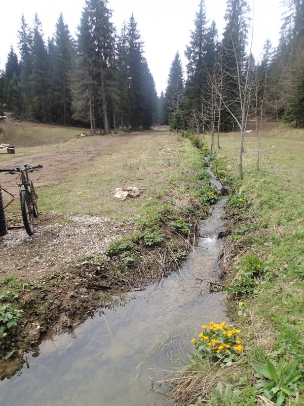 #3 Le long de la piste de fond : Sympa ce ruisseau... Le long de la piste de fond : Sympa ce ruisseau...