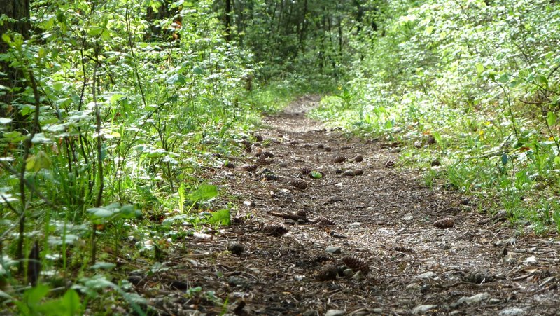 Craquant le sentier : Cela promet ce départ du Trièves