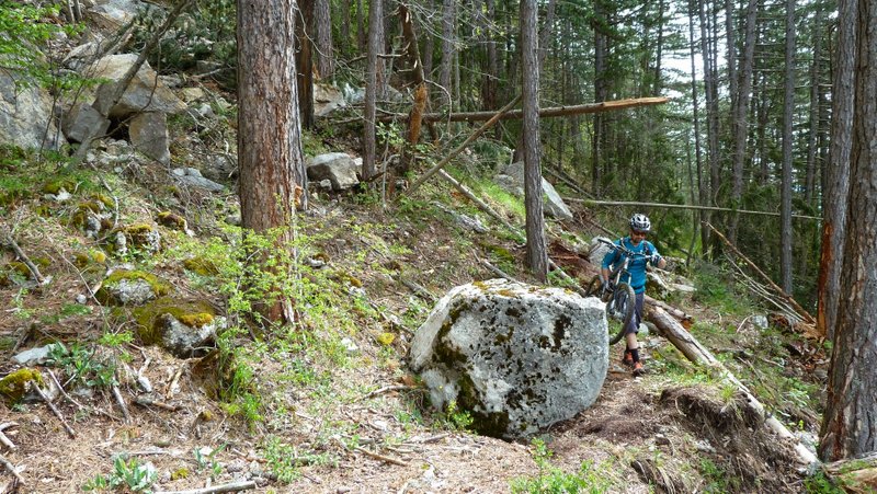 #5 Éboulement à 1150m : Y Éboulement à 1150m : Y'a du caillou et de l'arbre en vrac sur 15m