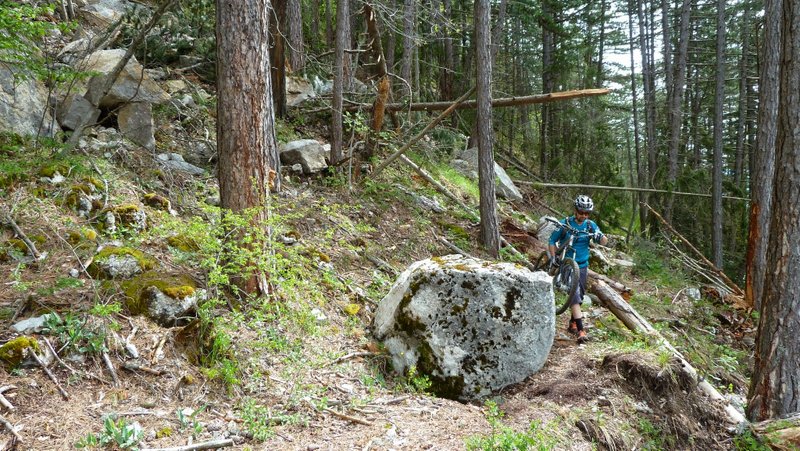 Éboulement à 1150m : Y'a du caillou et de l'arbre en vrac sur 15m