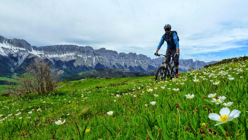 Petites fleurs : On arrive bientôt à la Croix de St Paul et c'est beau