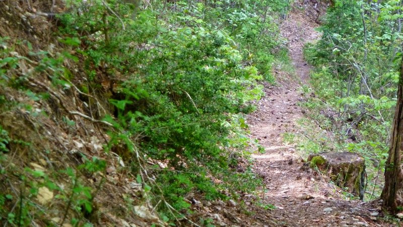 Épines et épingles : Ce sentier est malin, craquant et c'est très bon pour finir cette journée sur Menée :-D