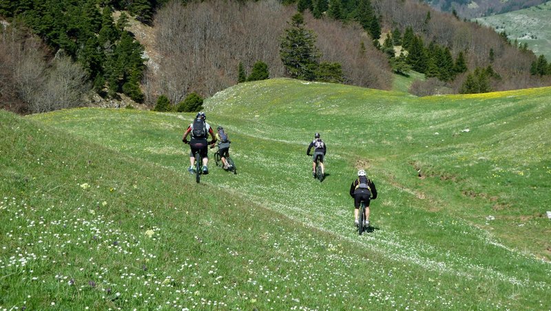 On lâche les fauves : Et hop première descente de la journée